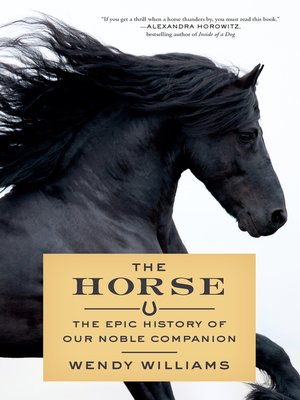 cover image of The Horse
